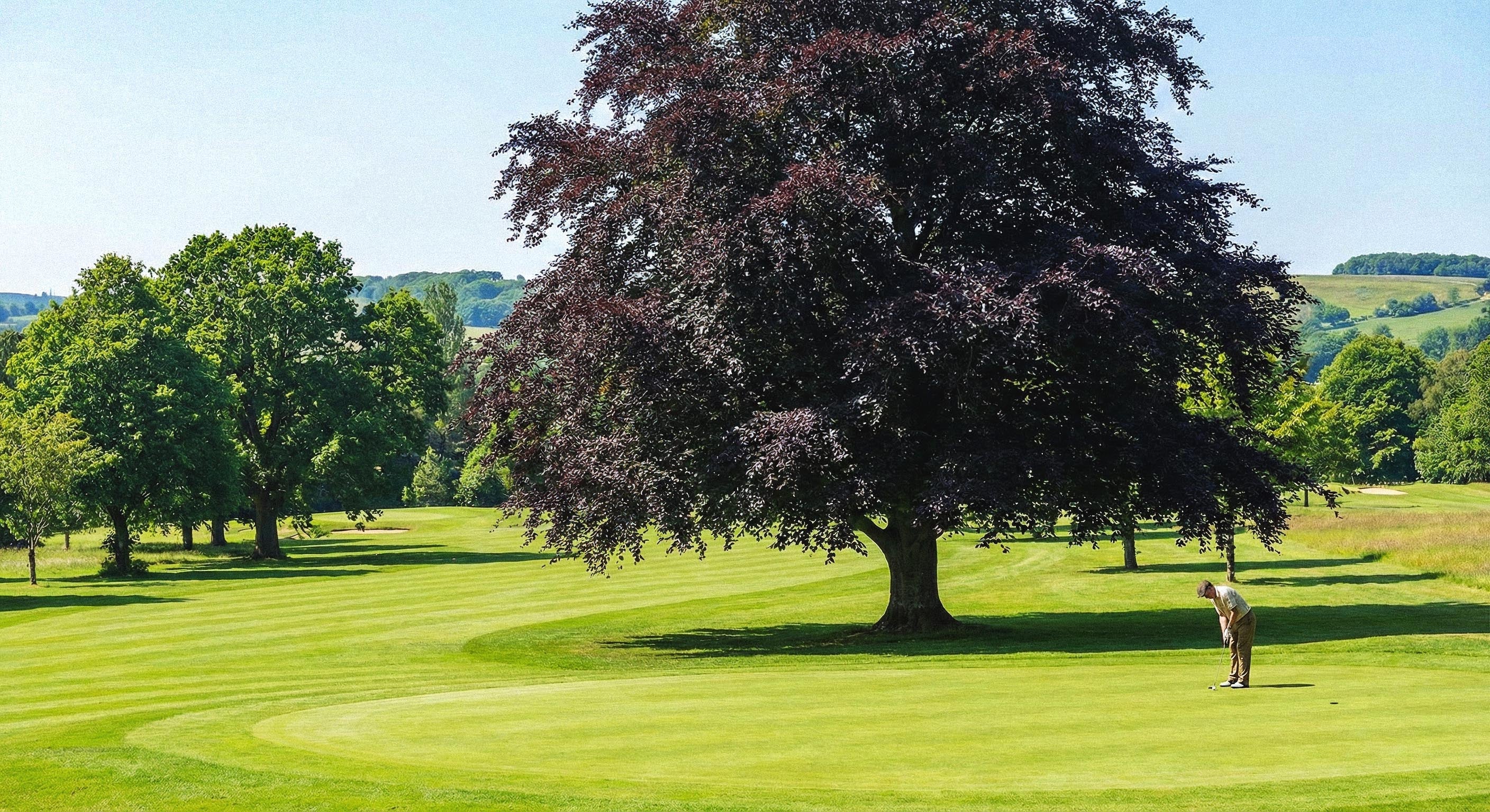 Trees for Golf Courses