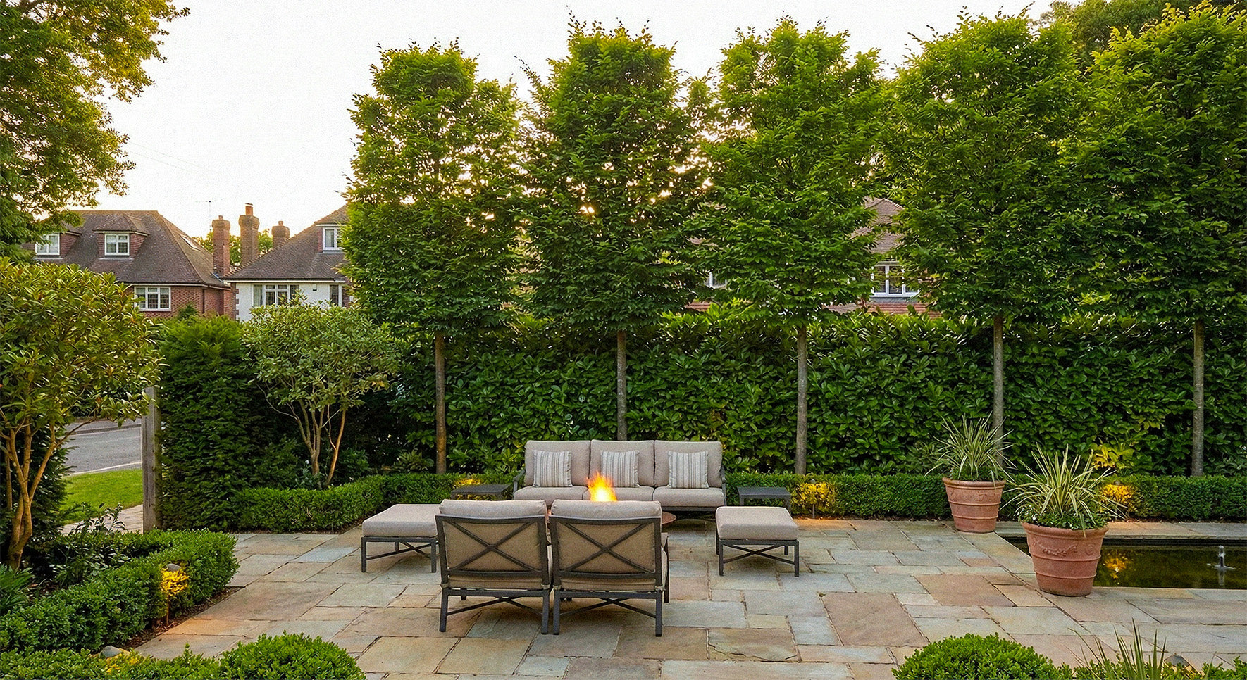 Trees for Screening and Privacy