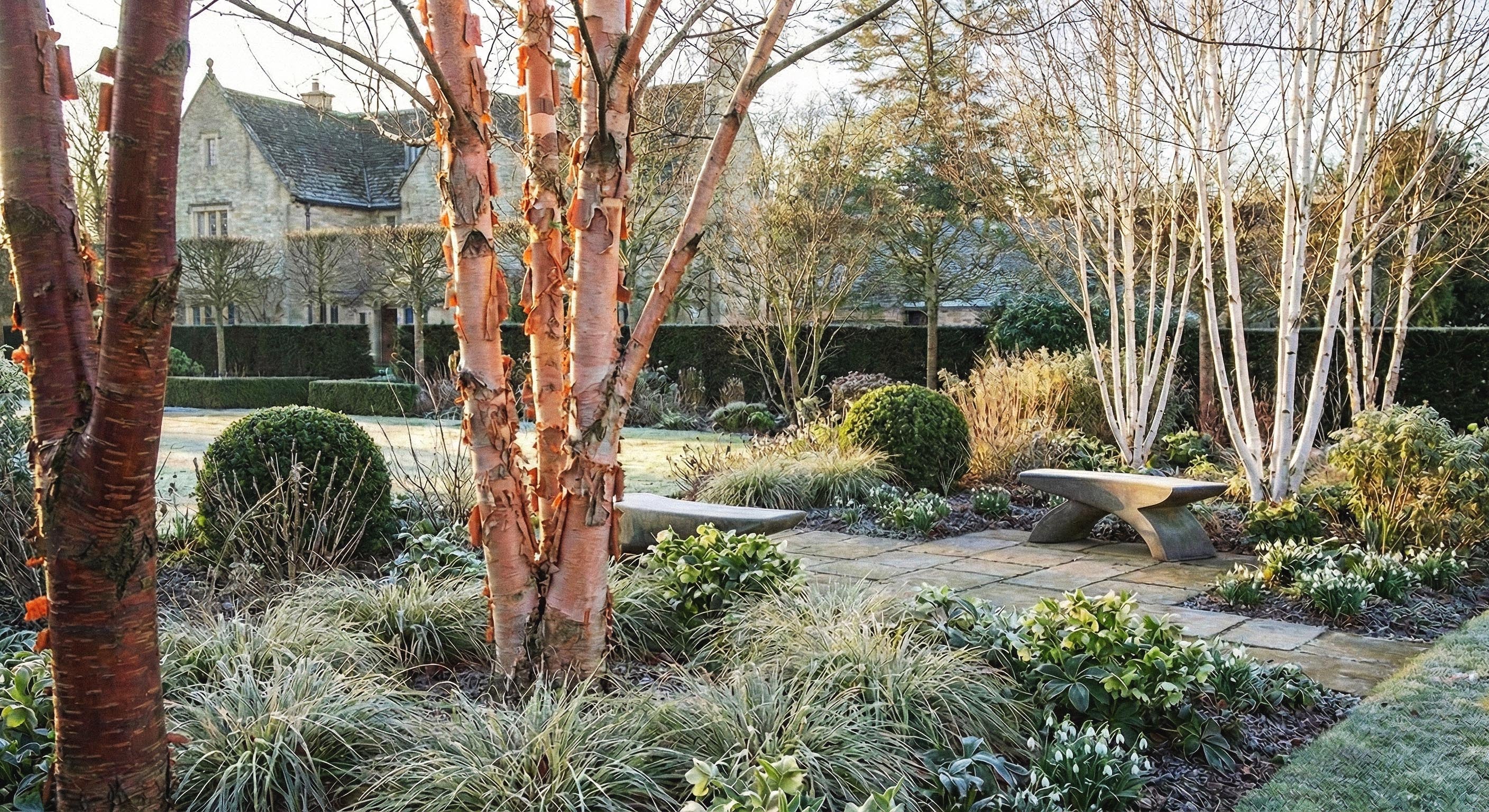 Trees with Attractive Bark