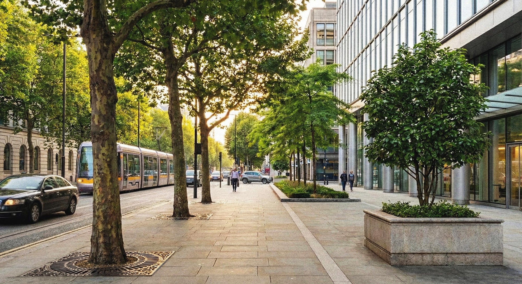 Urban Trees