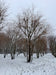 files/IMG_9877.heic