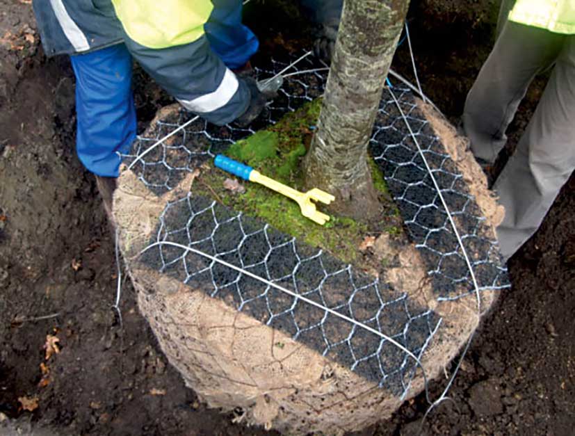 D-MAN® Rootball Fixing System Plati-Mat® image 2